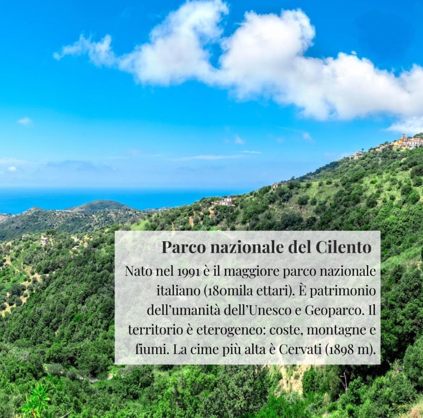 Nennella Cilento House Apartment Cuccaro Vetere Екстериор снимка